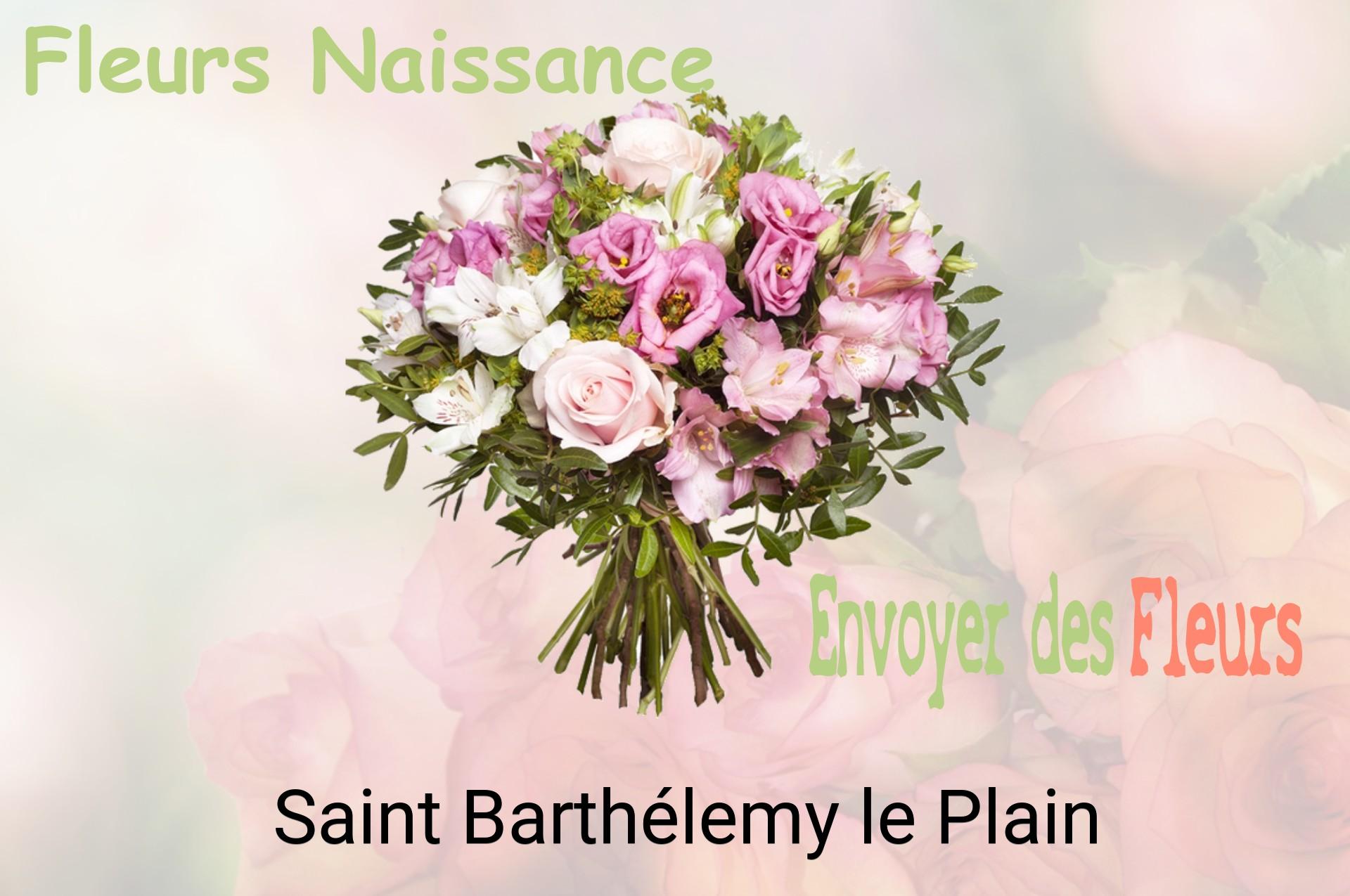 Bouquet de fleurs de naissance livré à Saint-Barthélemy-le-Plain